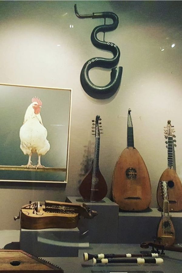 whatsapp image 2025 10 18 at 14.28.25